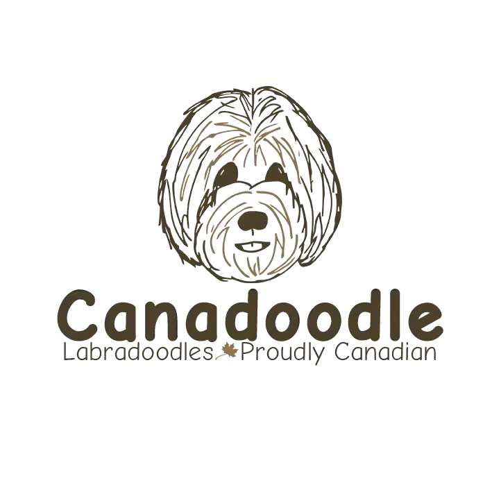 Canadoodle Australian Labradoodles