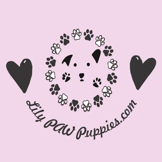 Lily Paw Puppies