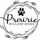 Prairie Willow Dogs