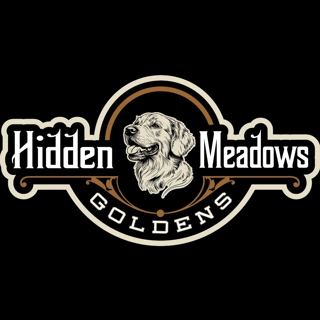 Hidden Meadows Goldens
