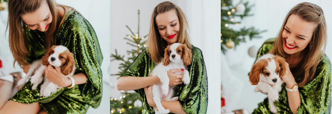Breeder with her spaniel pups