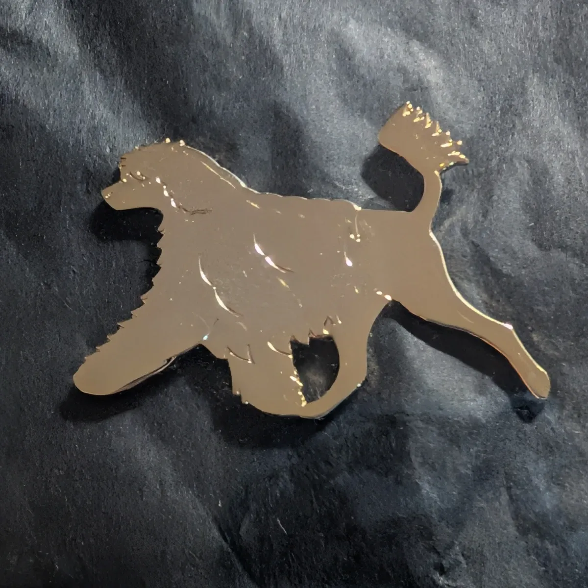 Voyager Portuguese Water Dogs