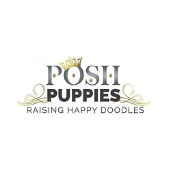 Posh Puppies
