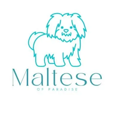 Maltese of Paradise