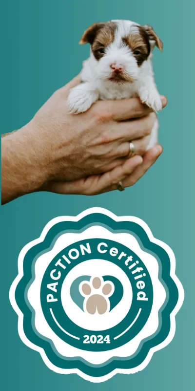 Paction certification