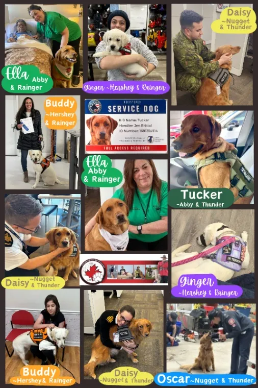 Candyville pups collage 2