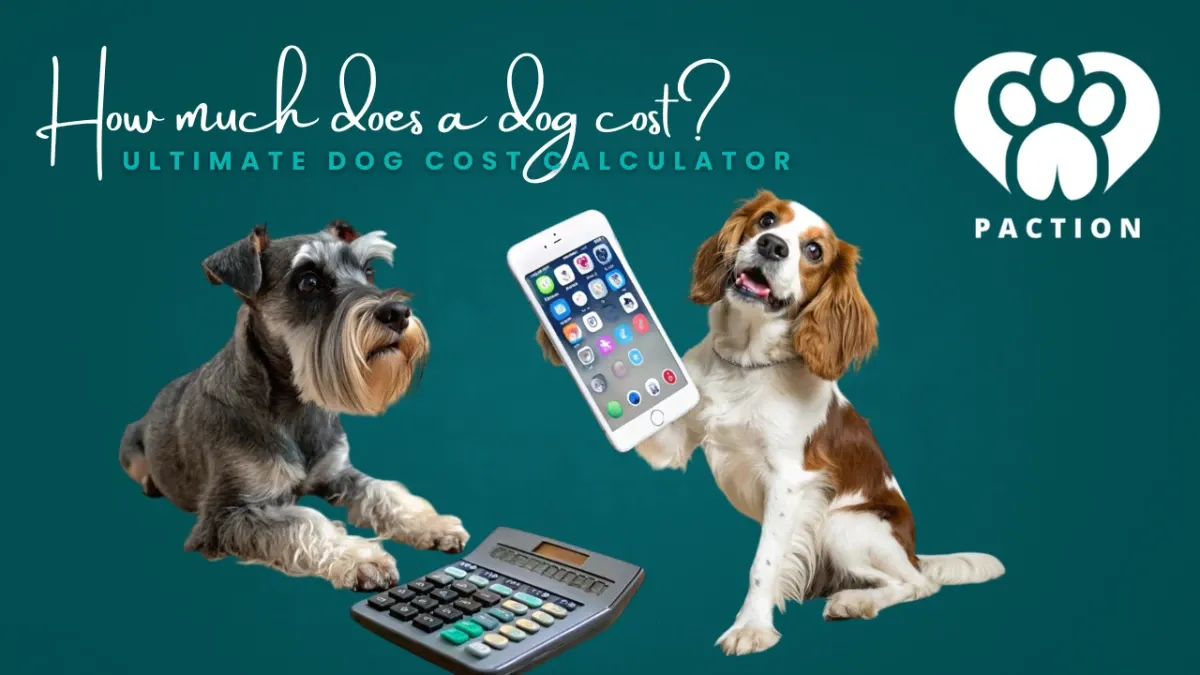 The Ultimate Dog Cost Calculator