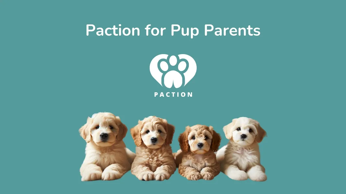 Paction for Pup Parents