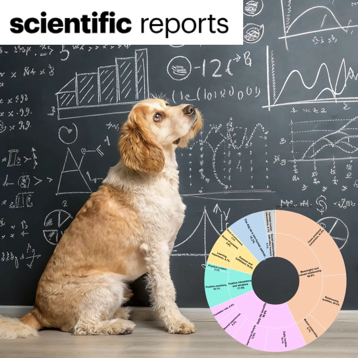 Perceived costs and benefits of companion dog keeping based on a convenience sample of dog owners