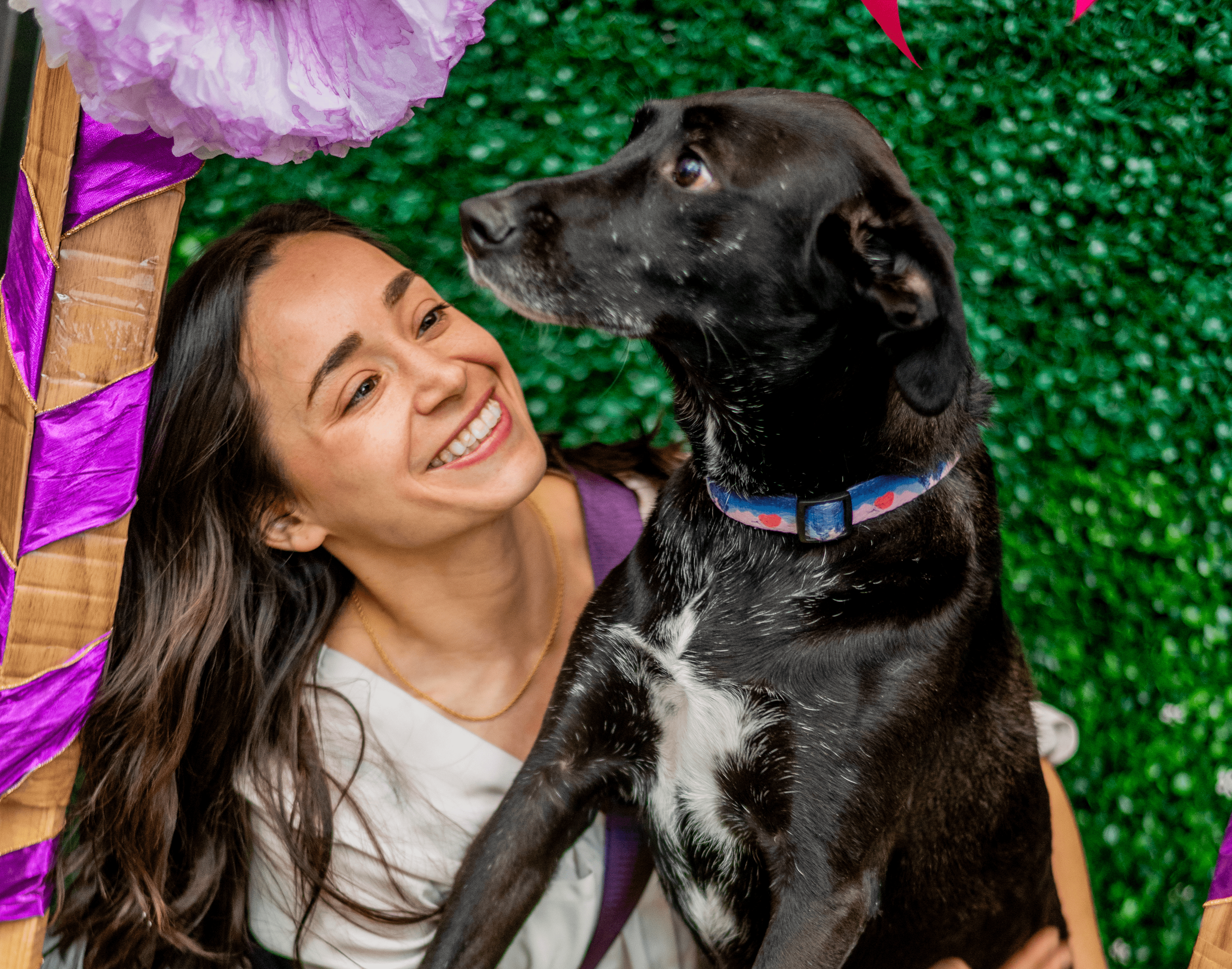 The Hidden Costs of Owning a Dog: What You Need to Know