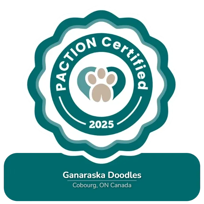 Paction Certification badge