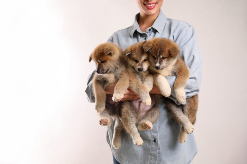 woman holding pups