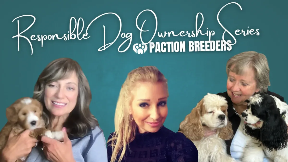 Responsible Dog Ownership Series