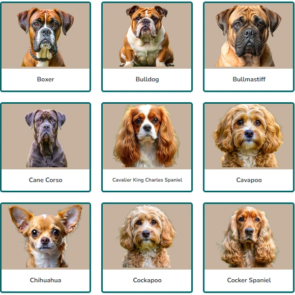 dog breed guides