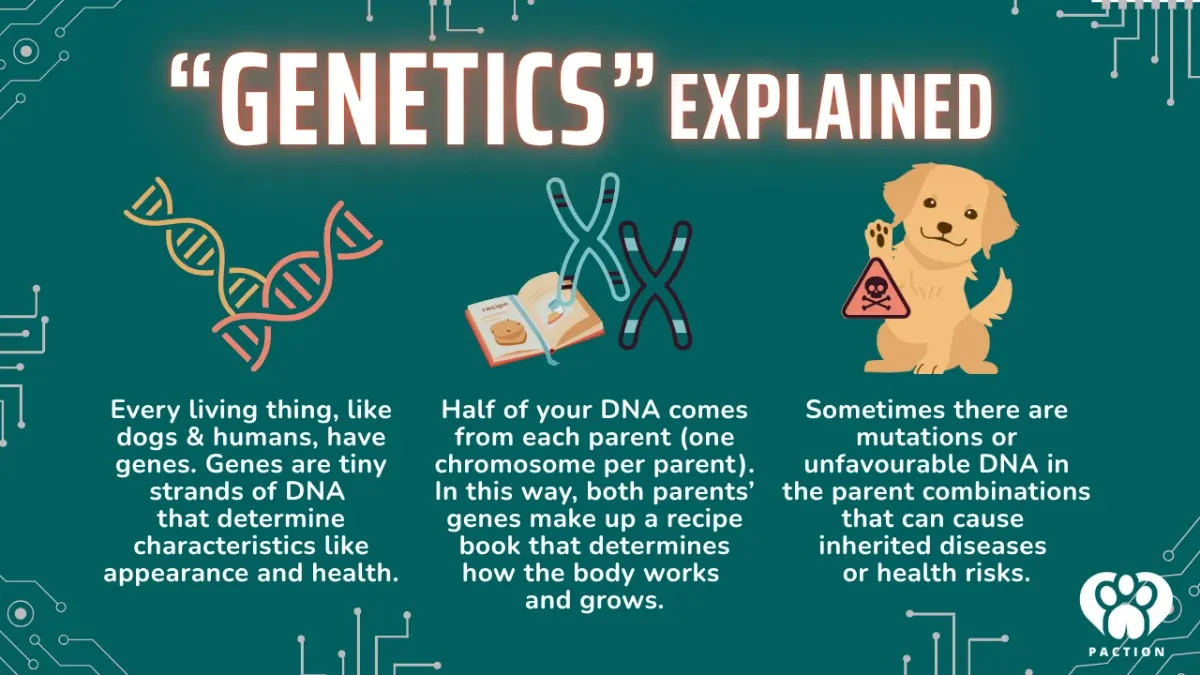 Genetics: The Basics