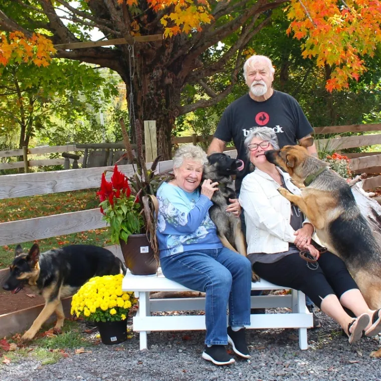 Family photo with German shepherds