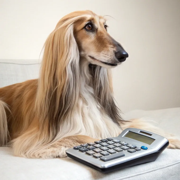 Afghan Hound cost calculator preview