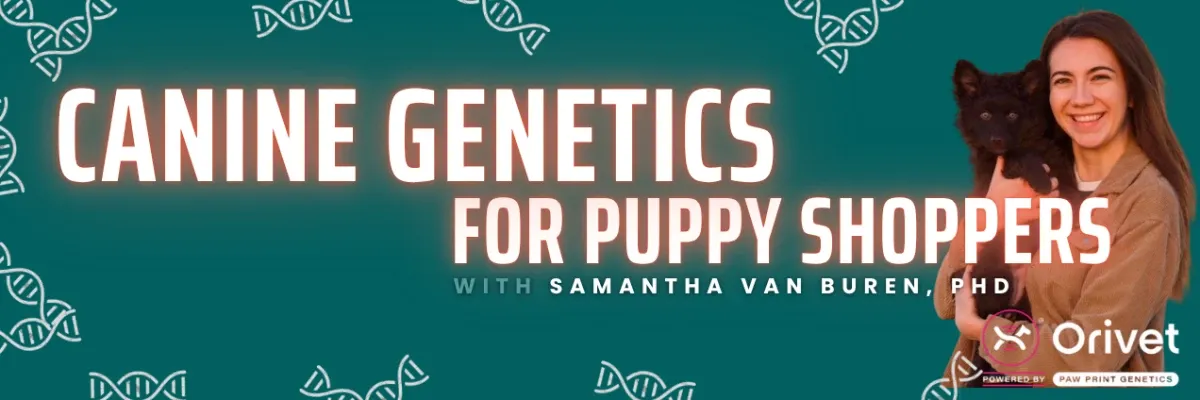 Canine genetics for puppy shoppers banner
