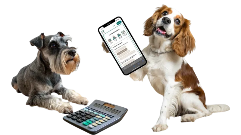 Calculator Preview