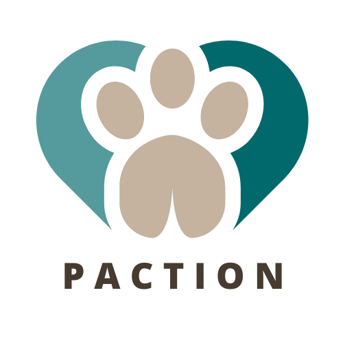 skye-terrier-paction-canada