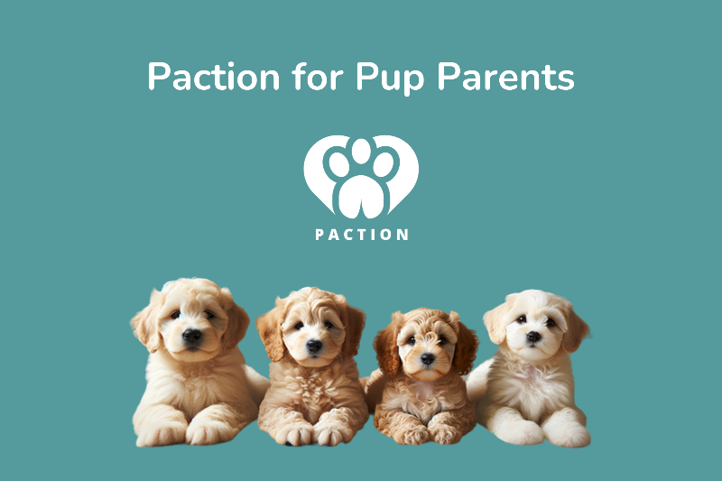 Paction for Pup Parents
