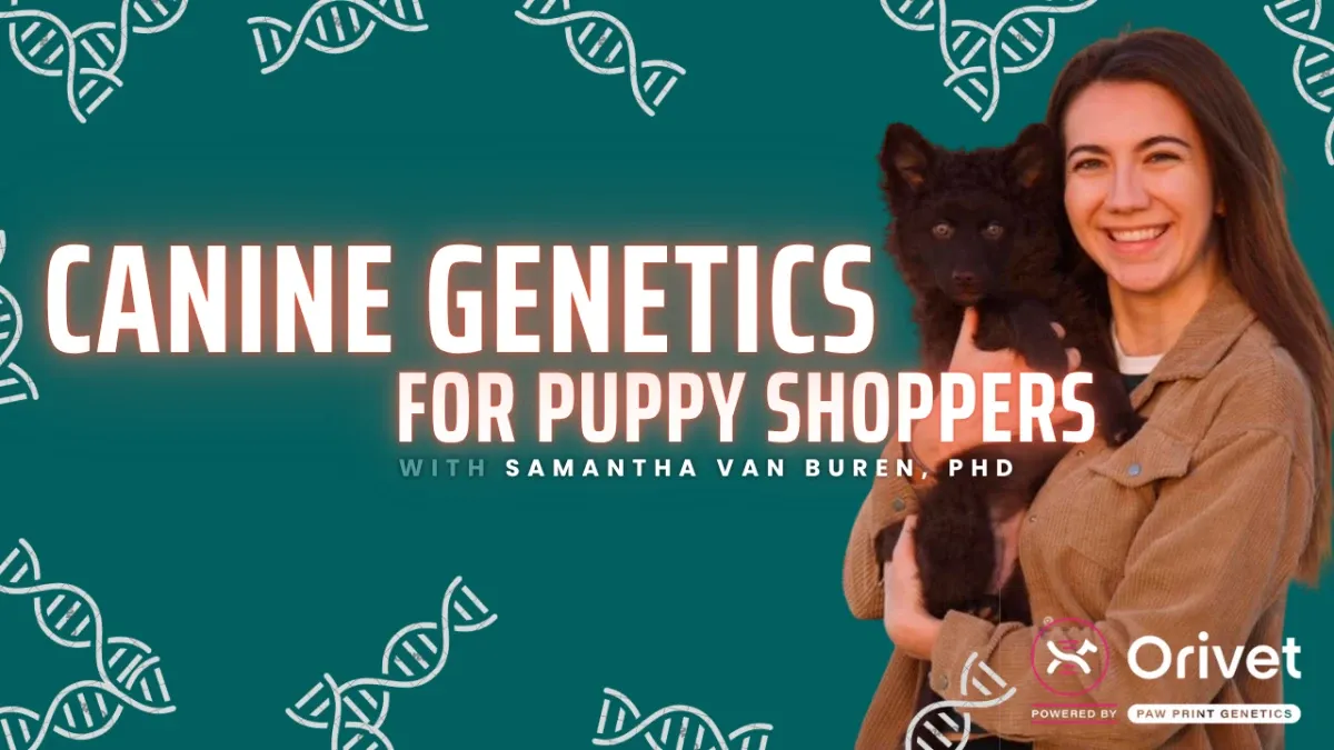 Canine Genetics for Puppy Shoppers