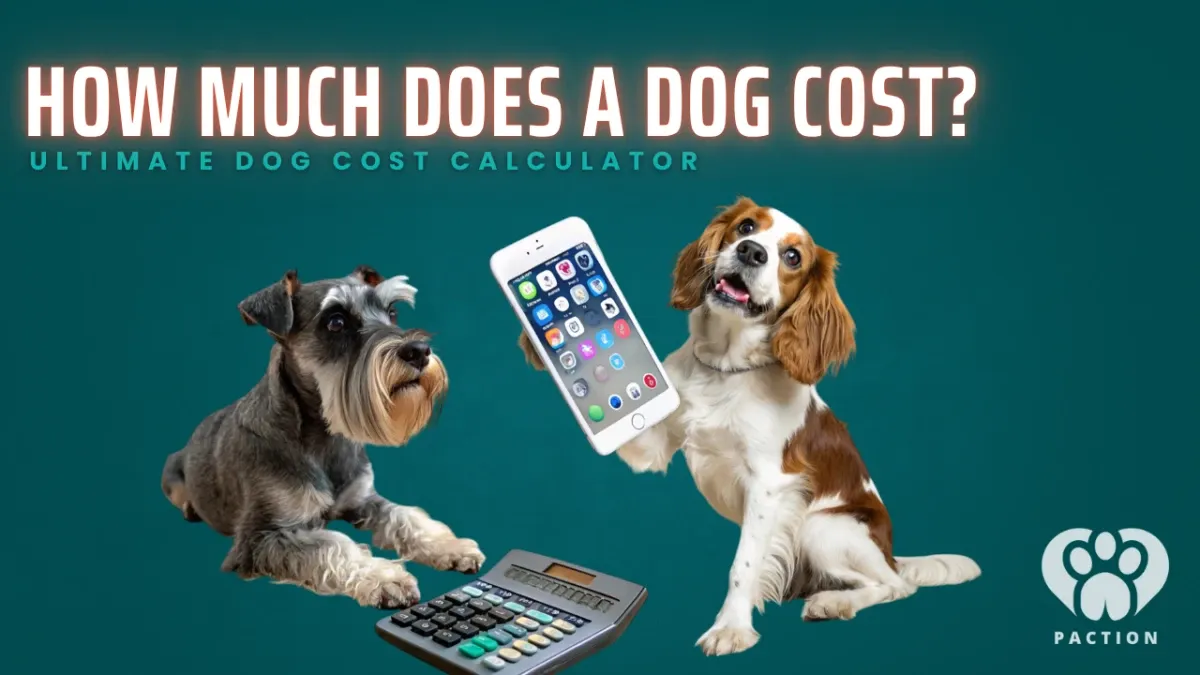 The Ultimate Dog Cost Calculator