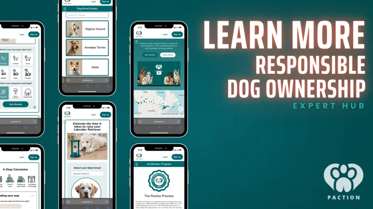 Paction's Expert Hub