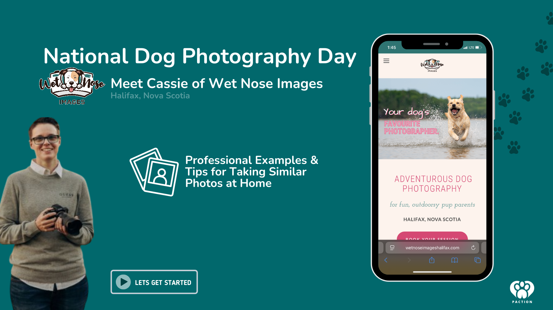 Professional Dog Photos Examples