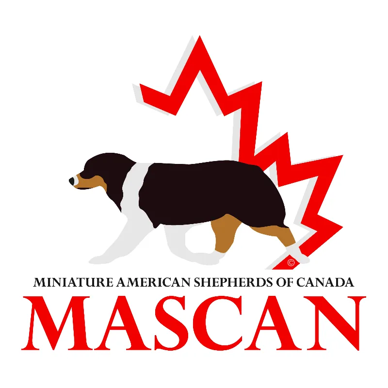 Miniature American Shepherds of Canada