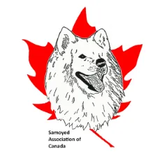 samoyed association of canada