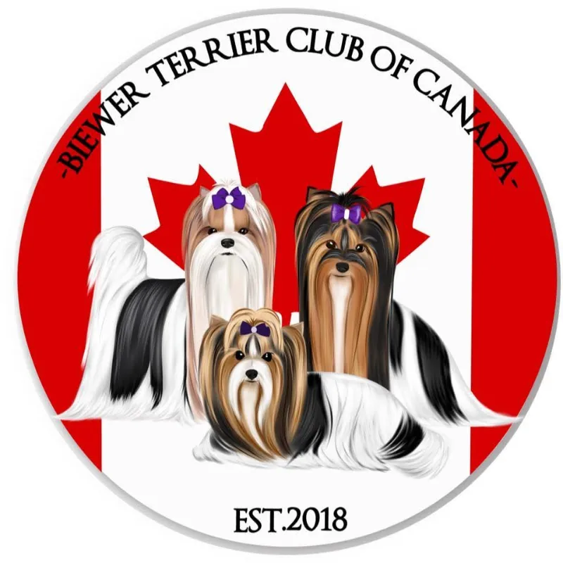 Biewer Terrier Club of Canada 