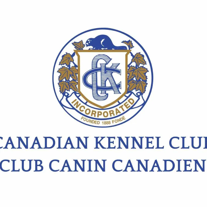 Canadian Kennel Club 
