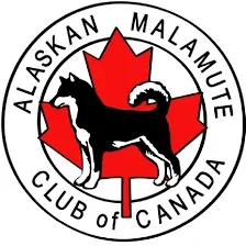 Alaskan Malamute CLub of Canada (AMCC)